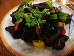 泡椒木耳-王妈热卤·川味馆(海昌店)