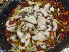 -金三可市井水煮鱼(金碧园店)