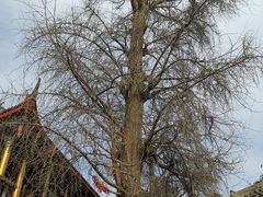 -金堂县云顶石城风景区