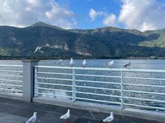 -海埂大坝