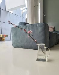 -无界瑜伽普拉提