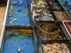 -小铜锣湾海鲜家常菜馆(河西店)