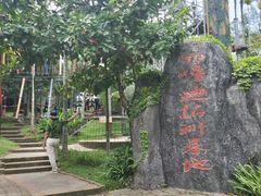-呀诺达热带雨林