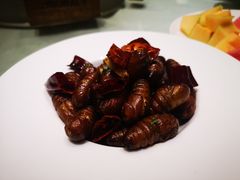 -一轩饺子馆(丽都店)