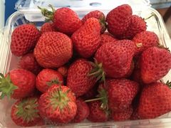 -昌平兴寿秀秀草莓采摘园