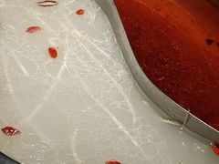 -季季红火锅(新建新城吾悦店)