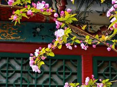 -海棠花溪(元大都城垣遗址公园)