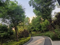 -迎泽公园