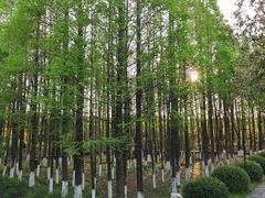 -乌镇东栅景区