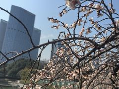 -白塘生态植物园