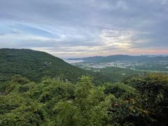 -三亚亚龙湾人间天堂鸟巢度假村