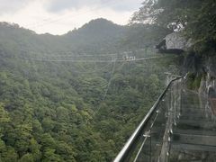 -千岛湖石林