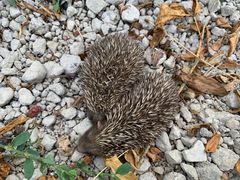 -天津东丽湖风景区