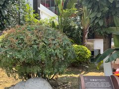 -靖西锦绣古镇景区