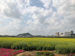 -光明小镇欢乐田园