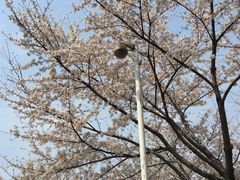 -西北湖绿化广场