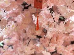 -陆地游轮西山温泉号