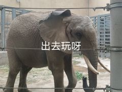 -太原动物园