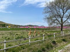 -大连铭湖国际观光牧场