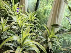 -太守宴·蘭院(天塔店)