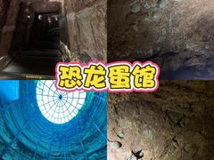 -中国西峡恐龙遗迹园