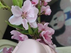 -南汇桃花村