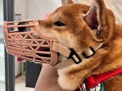 -萌兽医馆·眼科·异宠专科(三里屯店)