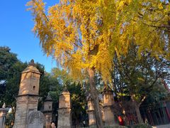 -大慈恩寺(大雁塔)