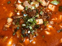 岐山臊子面-西安五号米皮