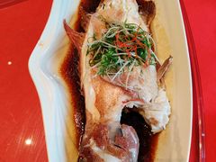 -花家怡园(四合院总店)
