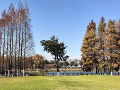 -阳澄湖费尔蒙酒店