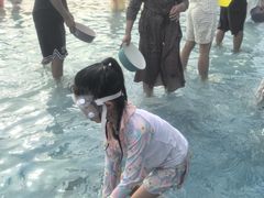 -西双版纳傣族园