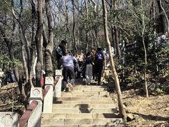 -宝岩生态观光园