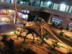 -自贡恐龙博物馆