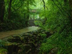 -虎跑公园