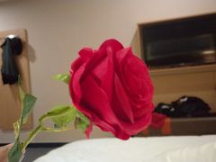 -7天优品·南京东南大学鼓楼医院店