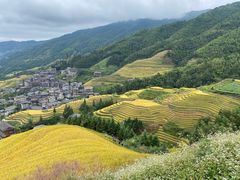 -龙脊梯田