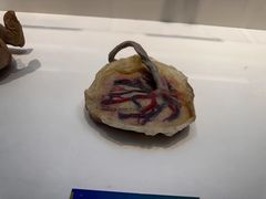 -生命奥秘博物馆