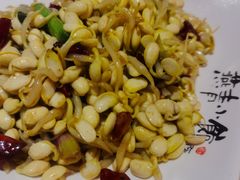 炝炒黄豆芽-燕青小馆(东园大厦店)