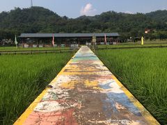 -红山村