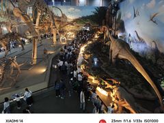 -中国西峡恐龙遗迹园