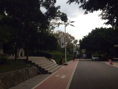 -仙岳公园
