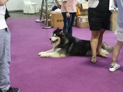 -重庆国际会议展览中心