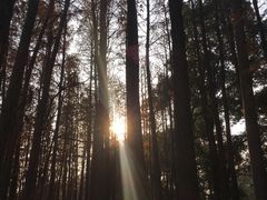 -东湖落雁景区