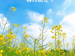 -光明小镇欢乐田园