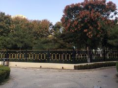 -庄怡公园