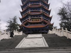 -铁山坪森林公园