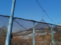 -森林公园(尖草坪区)