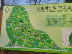 -合肥野生动物园