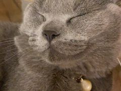 -么么咖啡(燕郊店)